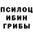 Псилоцибиновые грибы Magic Shrooms Kayla Warner