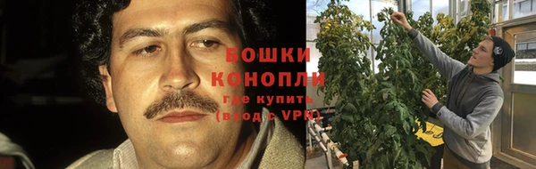 apvp Карпинск