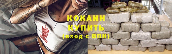 СК Касимов