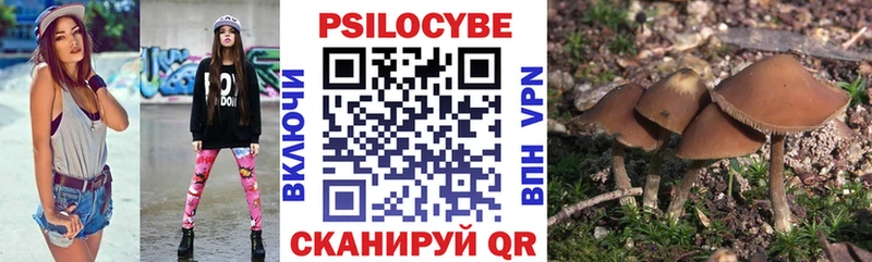 Купить где  Беслан  Галлюциногенные грибы GOLDEN TEACHER 